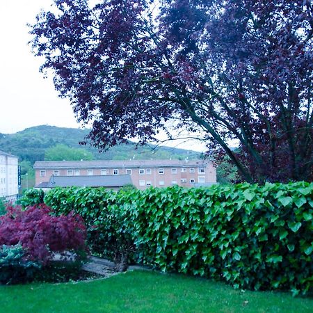 B&B Zaldu Estella Exterior foto